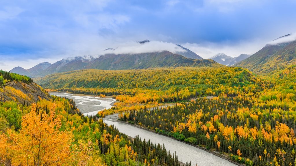 Alaska - Land Of Trivia