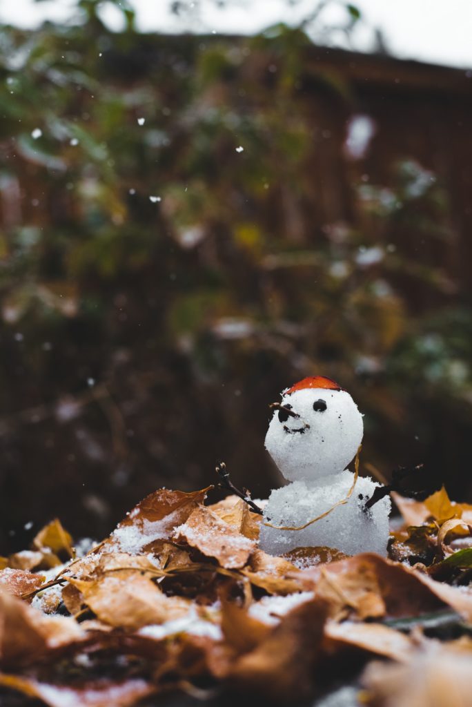 Christmas Winter Snowman - Land Of Trivia