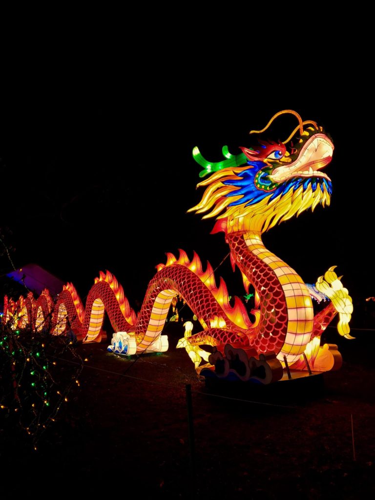 Chinese New Year - Chinese Zodiac Dragon