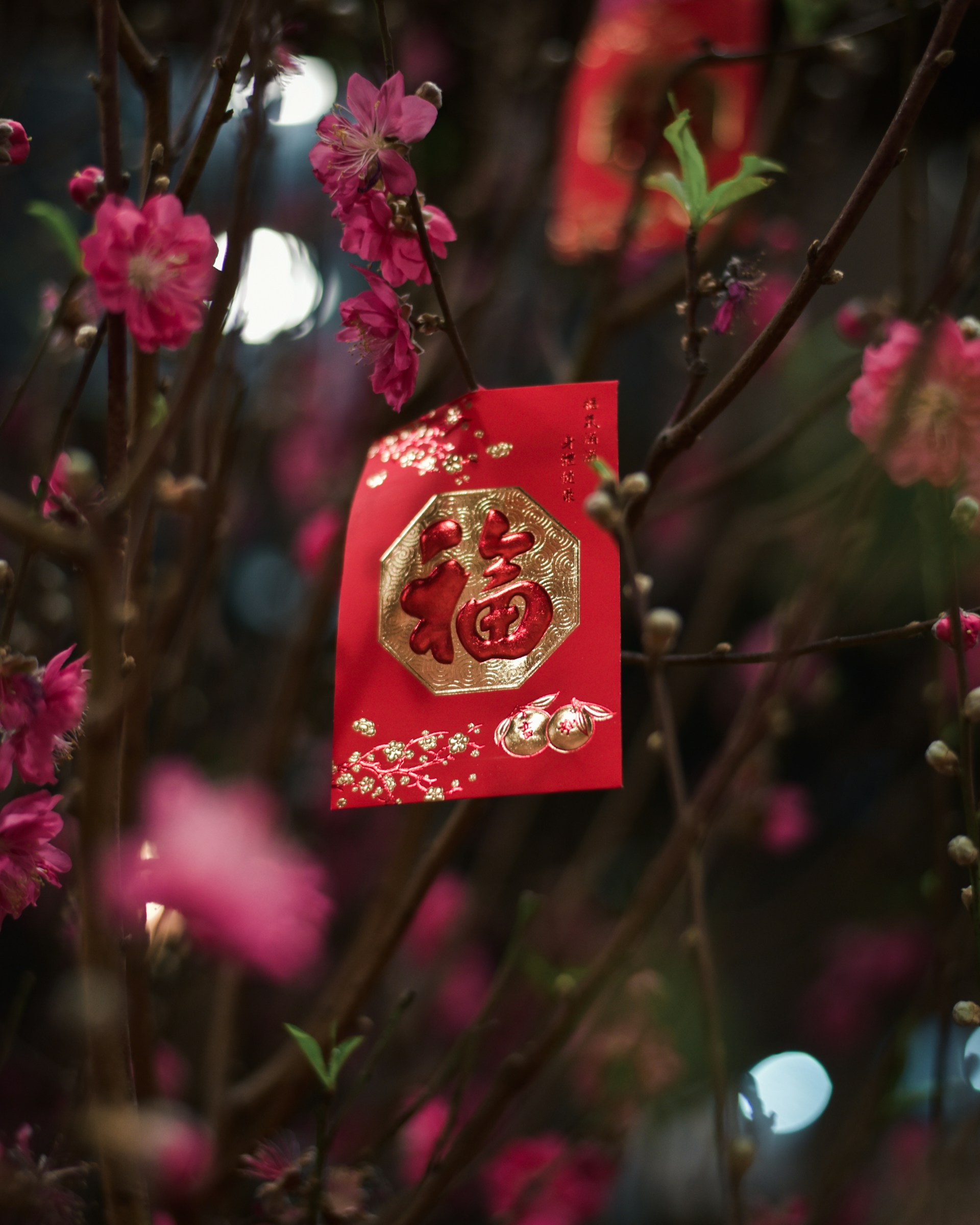 Chinese New Year Red Envelope